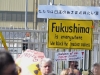 02.04.2011 - Demo in Gorleben