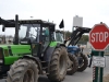 13.03.2011 - Besetzung Gorleben