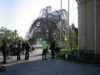 22.04.2011 - Treck nach Lubmin
