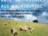 Abwandlung einer Anzeige Atomkraftwerk Brunsbüttel, 2008