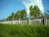 AKW Neckarwestheim