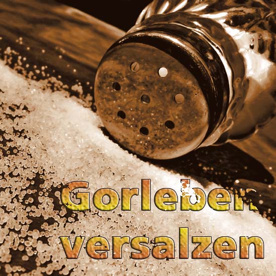 gorleben-versalzen-banner